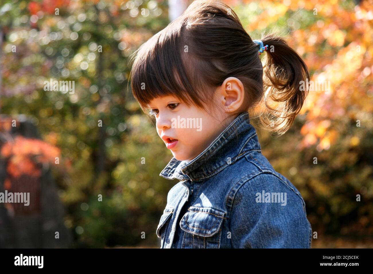 Close up of a little girl in a jeans jacket with autumn foliage in the background. Stock Photo