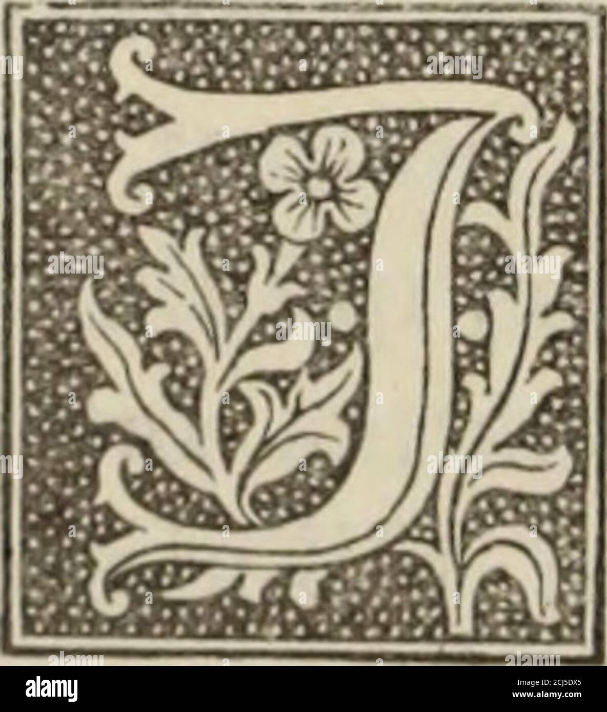 . Historia rerum anglicarum Willelmi Parvi . 2 IIISTORIA ANGLICANA. [lIB. 11. dolens, Mratrem semper in corde suo oderat, cumtamen concepti furoris irapetum metus regius co-hiberet. Capto autem rege, liberatus hoc metu,mox fratri nihil verenti manus injecit, et non necesimplici, sed prò exsaturando execrabili odio ex-cruciatum suppliciis interfecit. Illico fines inva-dens fraternos, barbaris in barbaros sasvientibus,non modicam hominum stragem fecit. Erat autemfratri nefarie interempto iìlius, nomine Rollandus,acer atque industrius adolescens, qui, paternisamicis cooperantibus, debacchanti pat Stock Photo