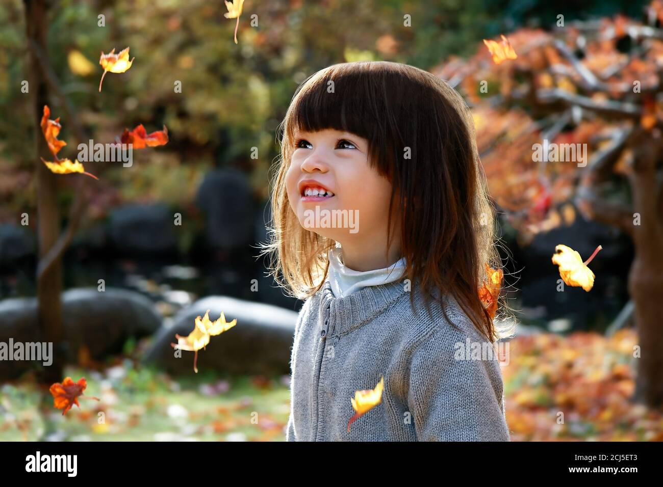Cute little girl smiling and looking at falling leaves during fall season. Stock Photo