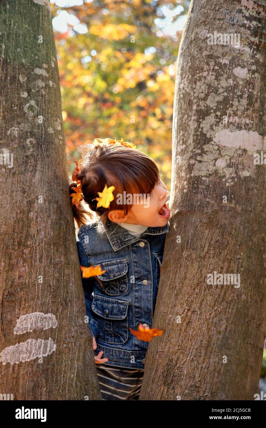Little girl with leaves in her hair standing between two trees. Autumn ...