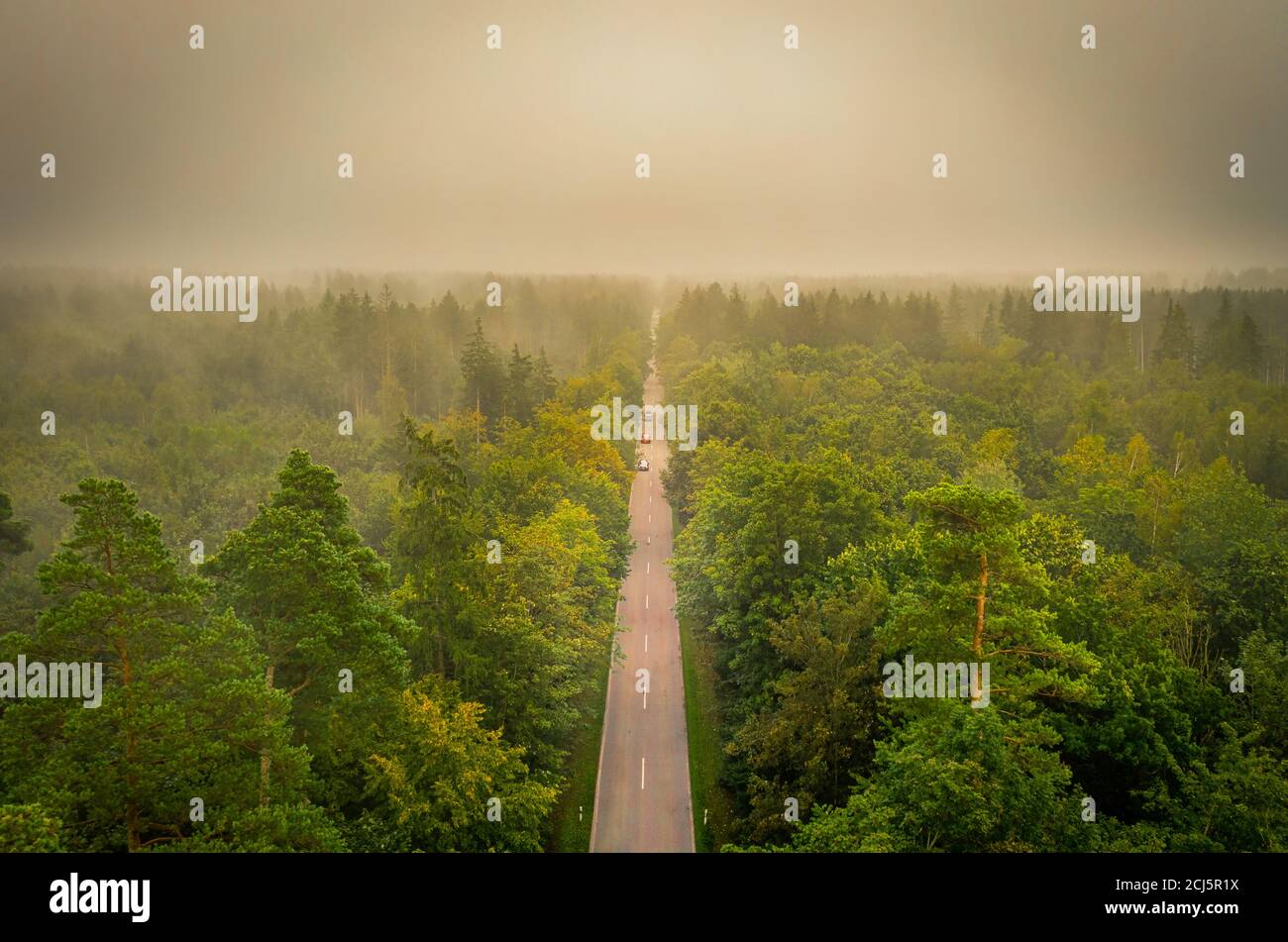 Drone footage misty green forest hi-res stock photography and images ...
