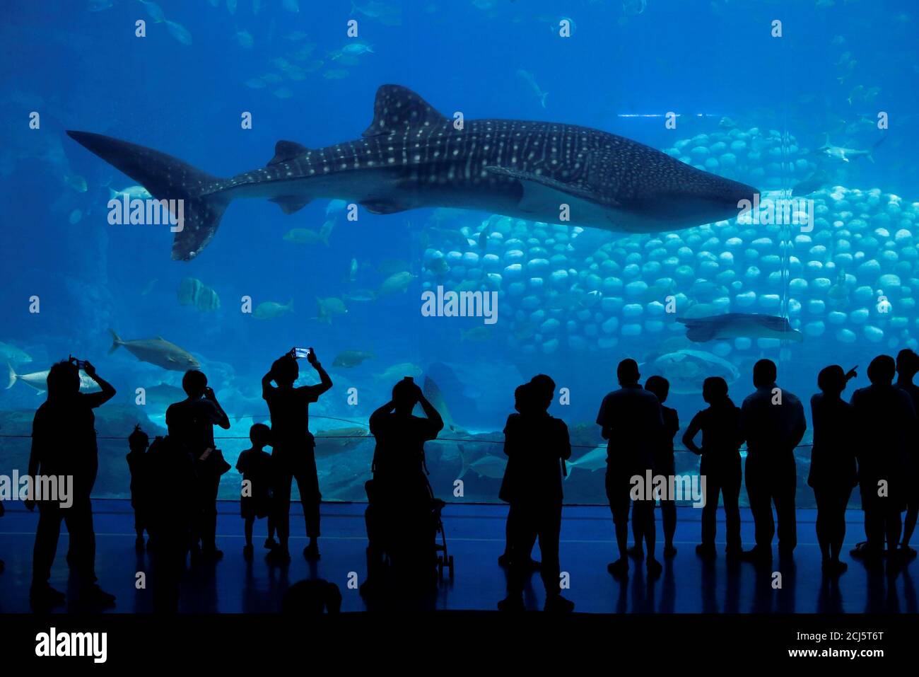 Chimelong aquarium hires stock photography and images Alamy