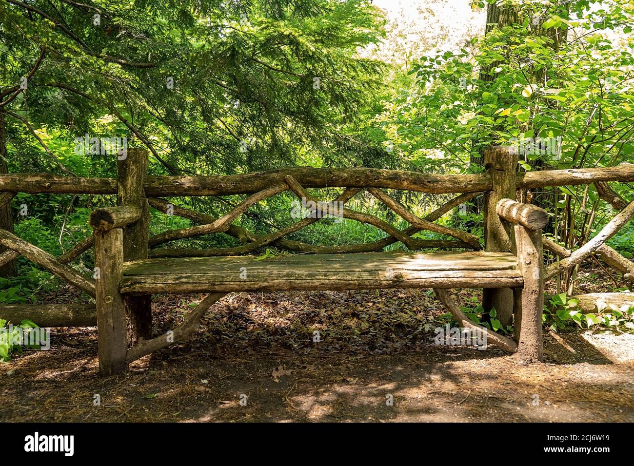 Wooden bench in central park in New York city on a warm sunny day Stock Photo Alamy