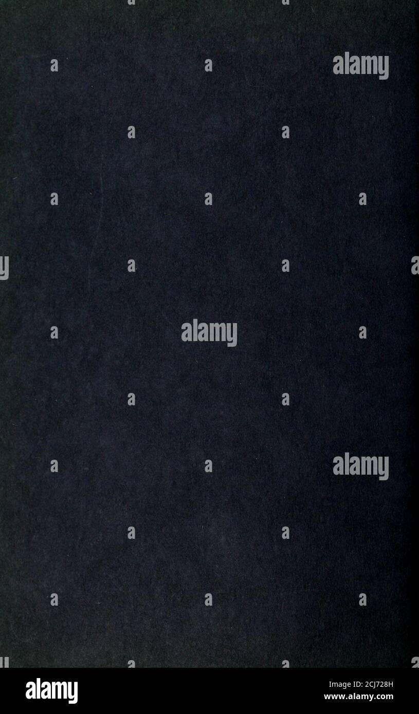 . The Pioneer Stock Photo Alamy