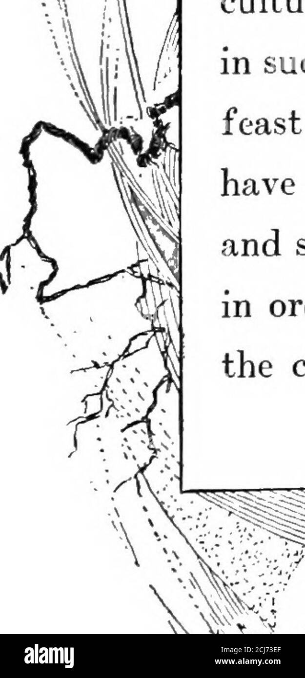 The Book Of Months February To Be Trusted And That Mouth Of His Had Eightcoppers On One Side And The Crust Not Yet Mas Ticated On The Other But Did The