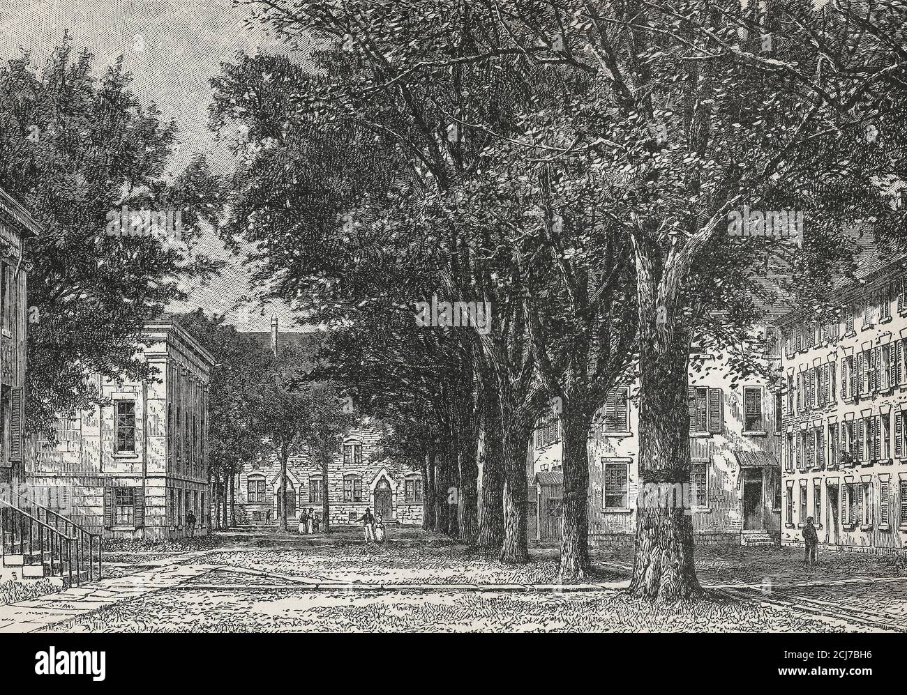 The Elms, Yale University, New Haven, Connecticut, circa 1905 Stock Photo