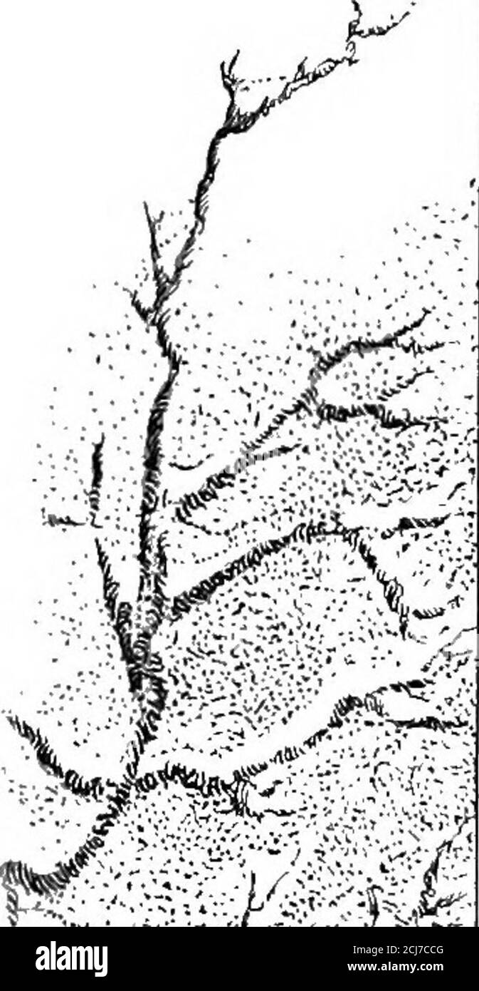 . The book of months Stock Photo - Alamy