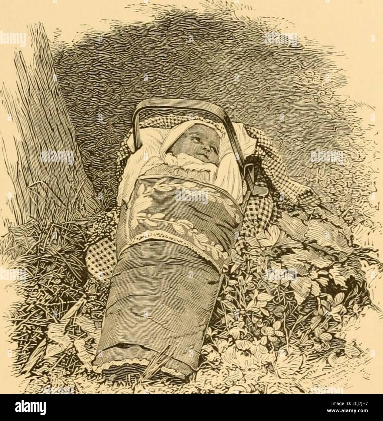 The Falls Of Niagara Y Other Savages And Who Livedsouth Of The Huron Country Were Visited By Thejesuits Who Preached To Them The Kingdom Of God They Were Called The Neuter