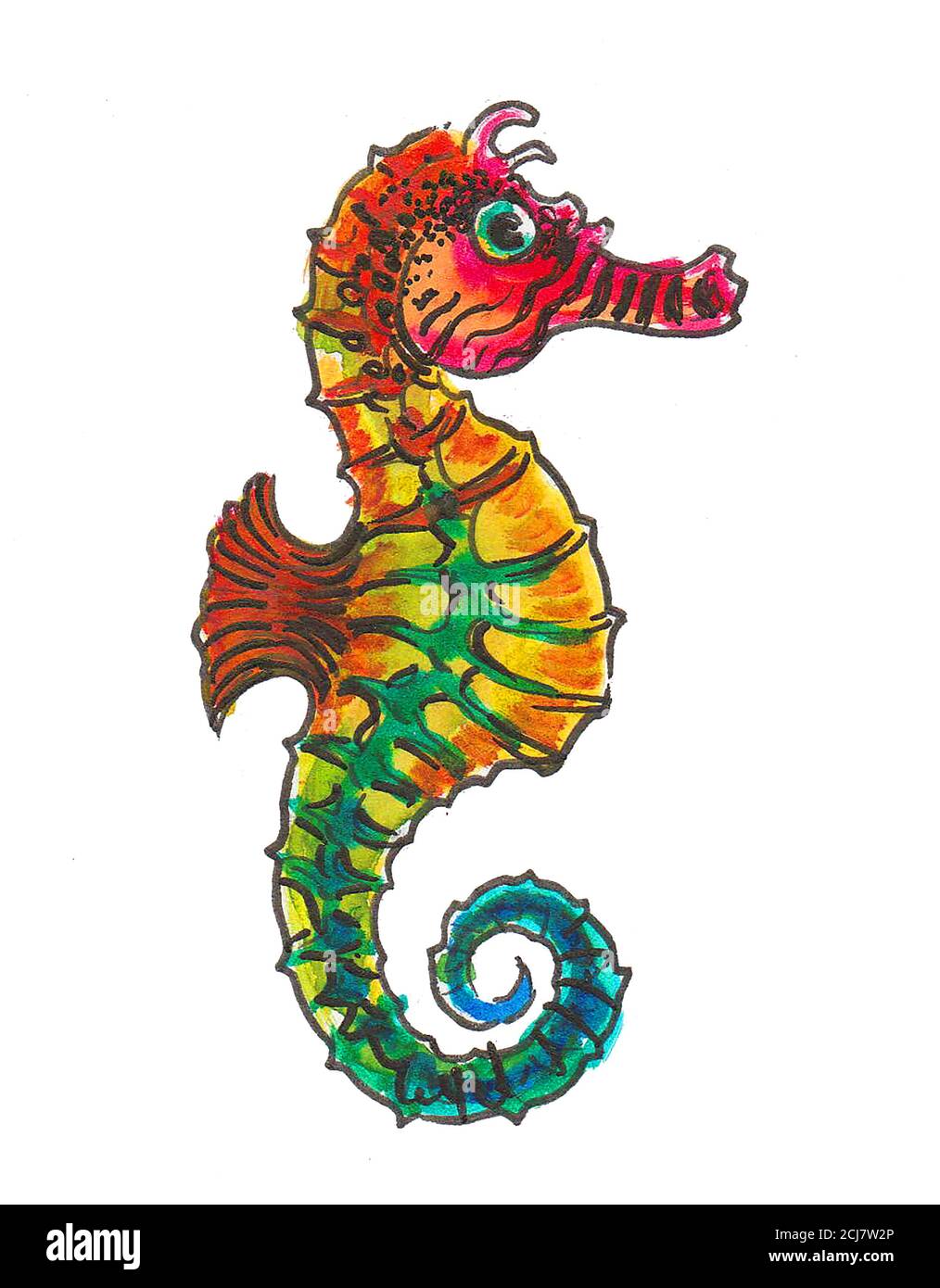 Colorful seahorse fish on white background. Ink and watercolor drawing ...