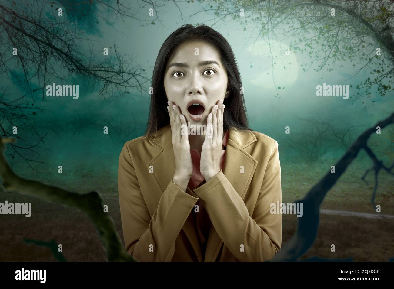 Asian businesswoman scared standing on the meadow with fog. Halloween concept Stock Photo
