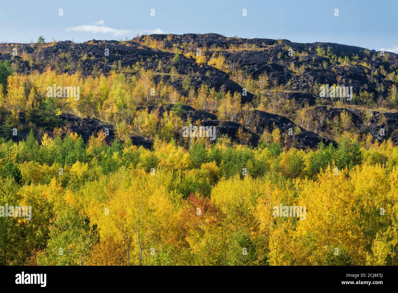 Hills which were affected by mining activities, beginning to regenerate, Coniston (Sudbury), Ontario, Canada, in autumn glow. Stock Photo