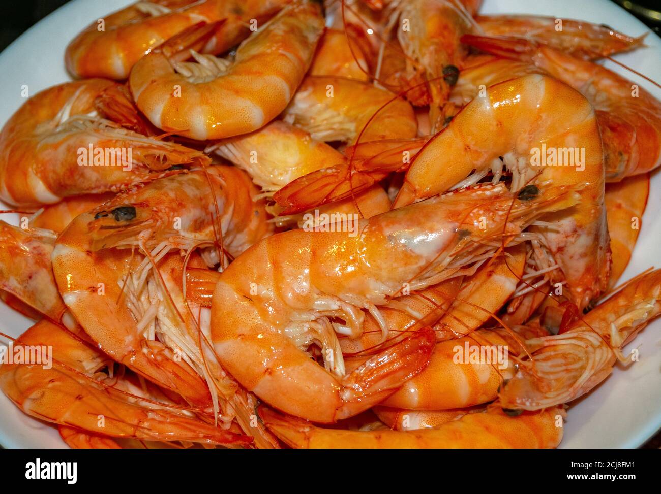 Cocked Shrimps in a white plate Stock Photo