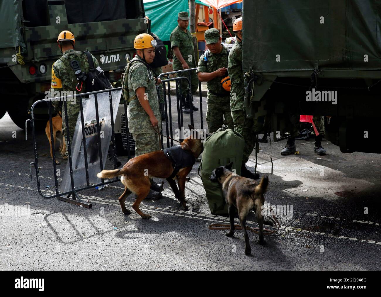 Mexican soldiers with dogs are pictured next to a collapsed building after an earthquake in Mexico City, Mexico September 22, 2017. REUTERS/Henry Romero Stock Photo