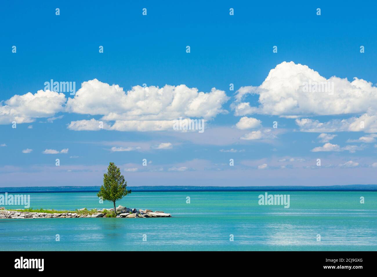 Small tree on point of land, Gore Bay, Manitoulin Island, Ontario, Canada. Stock Photo