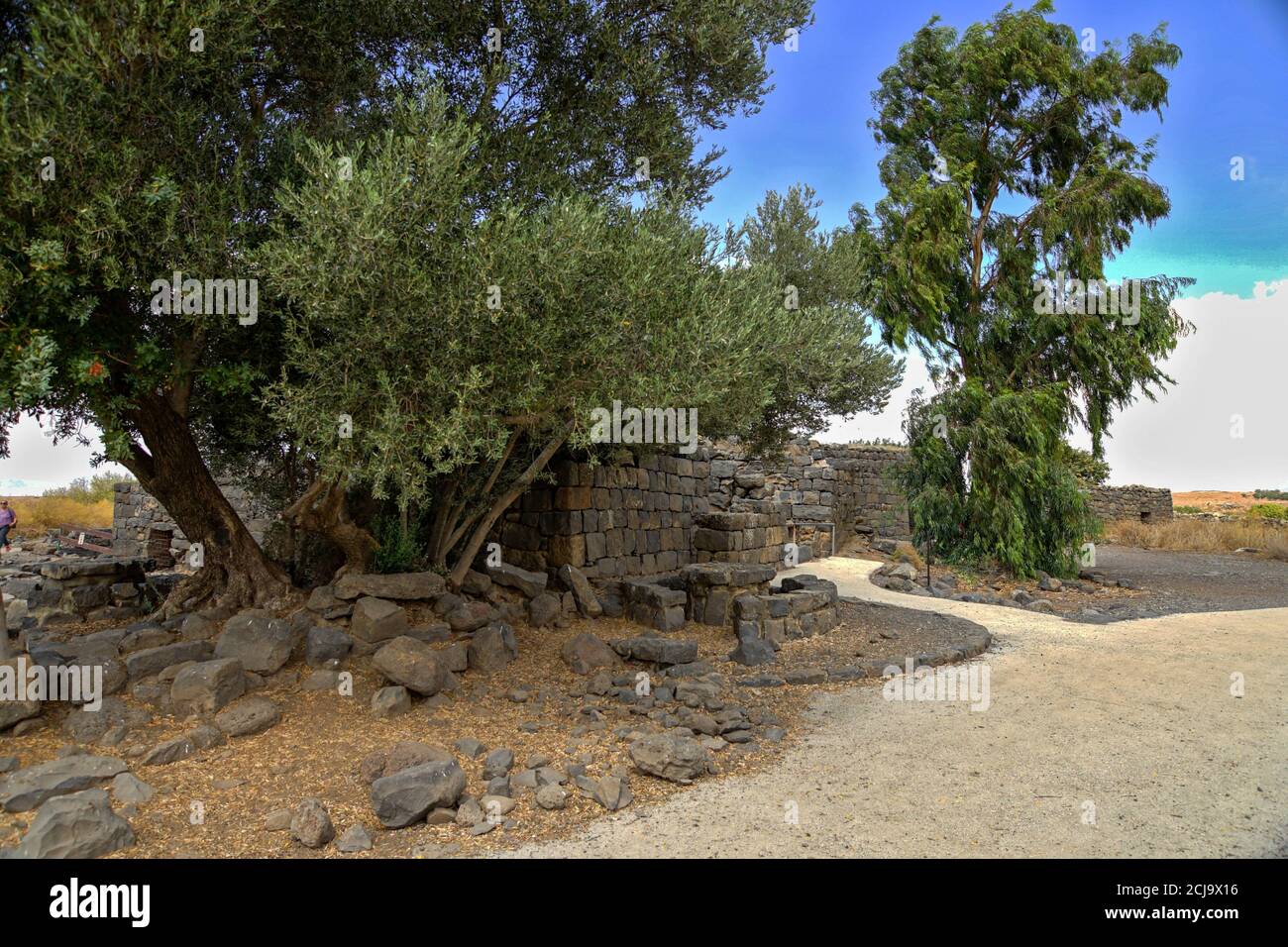 Gamla Second Temple period, ancient Jewish city and nature reserve on the Golan Heights, Israel Stock Photo