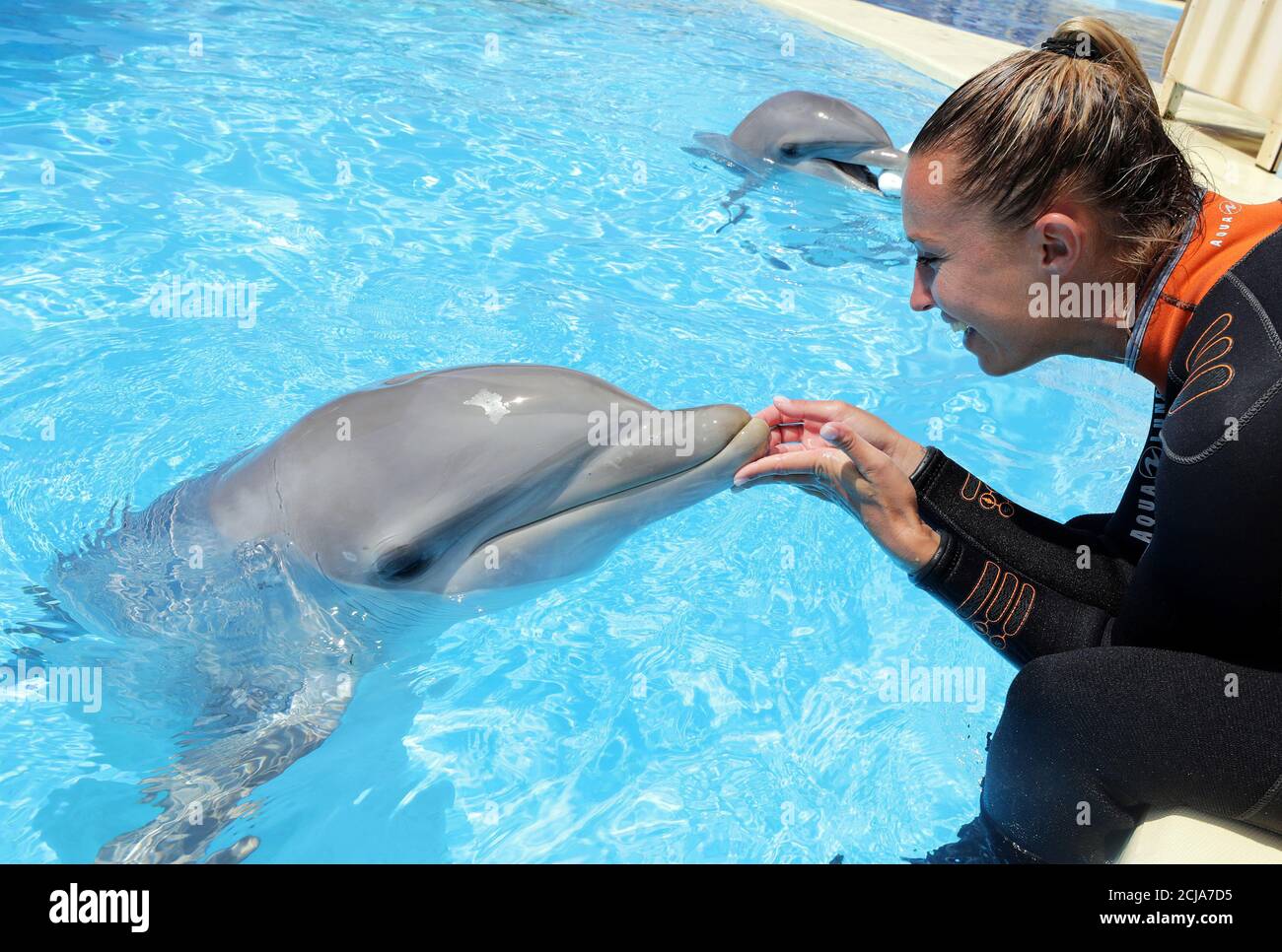 dolphin imaging training jobs dolphin imaging training jobs