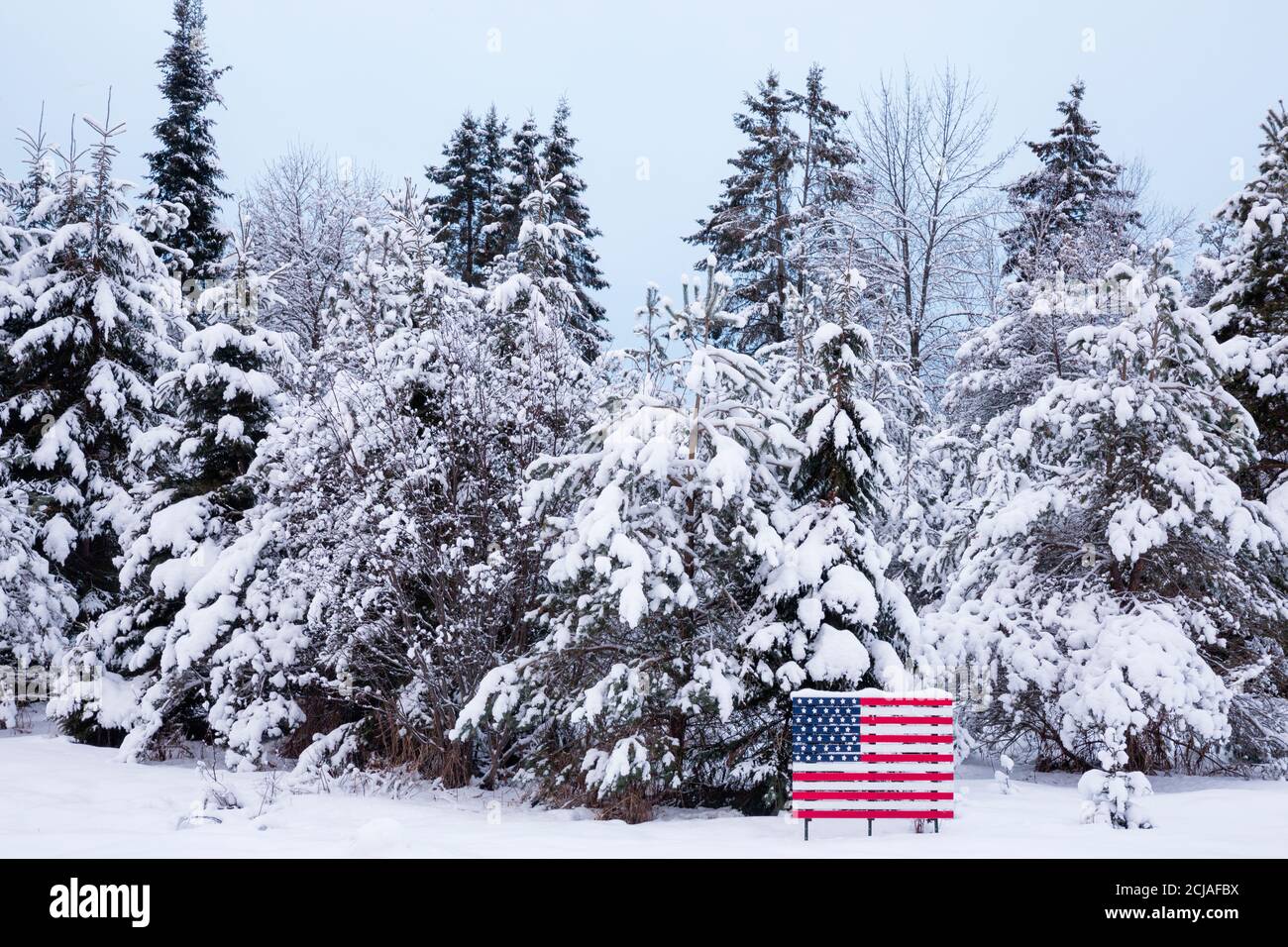 Wood constructed United States flag in front of snowy conifers, Escanaba, Michigan, USA. Stock Photo