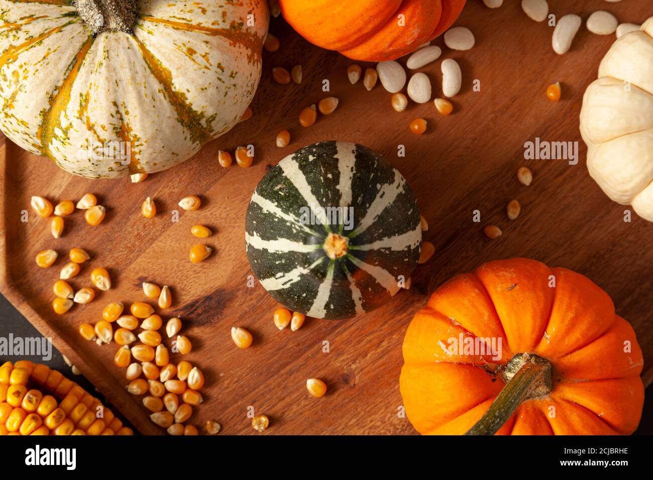 pumpkins, squashes and gourds , dried a corn cob with kernels and dried