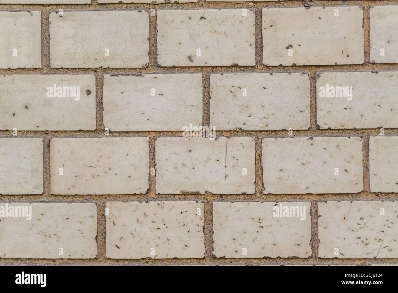 white grunge brick wall background texture Stock Photo - Alamy