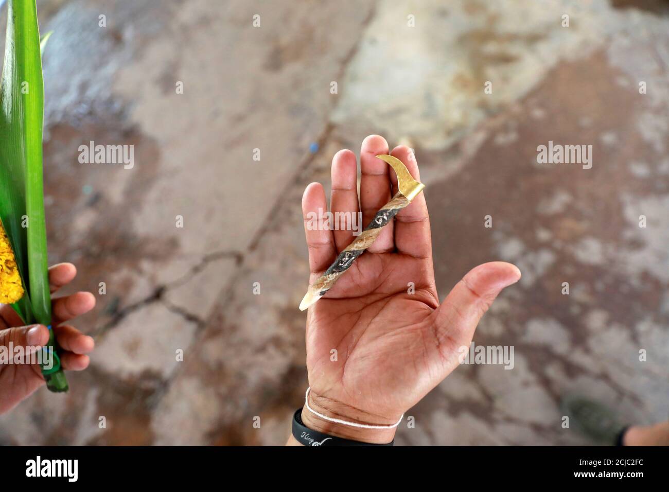 A Man Makes An Offering To Plai Ekachai 33 Who Will Become First White Elephant To