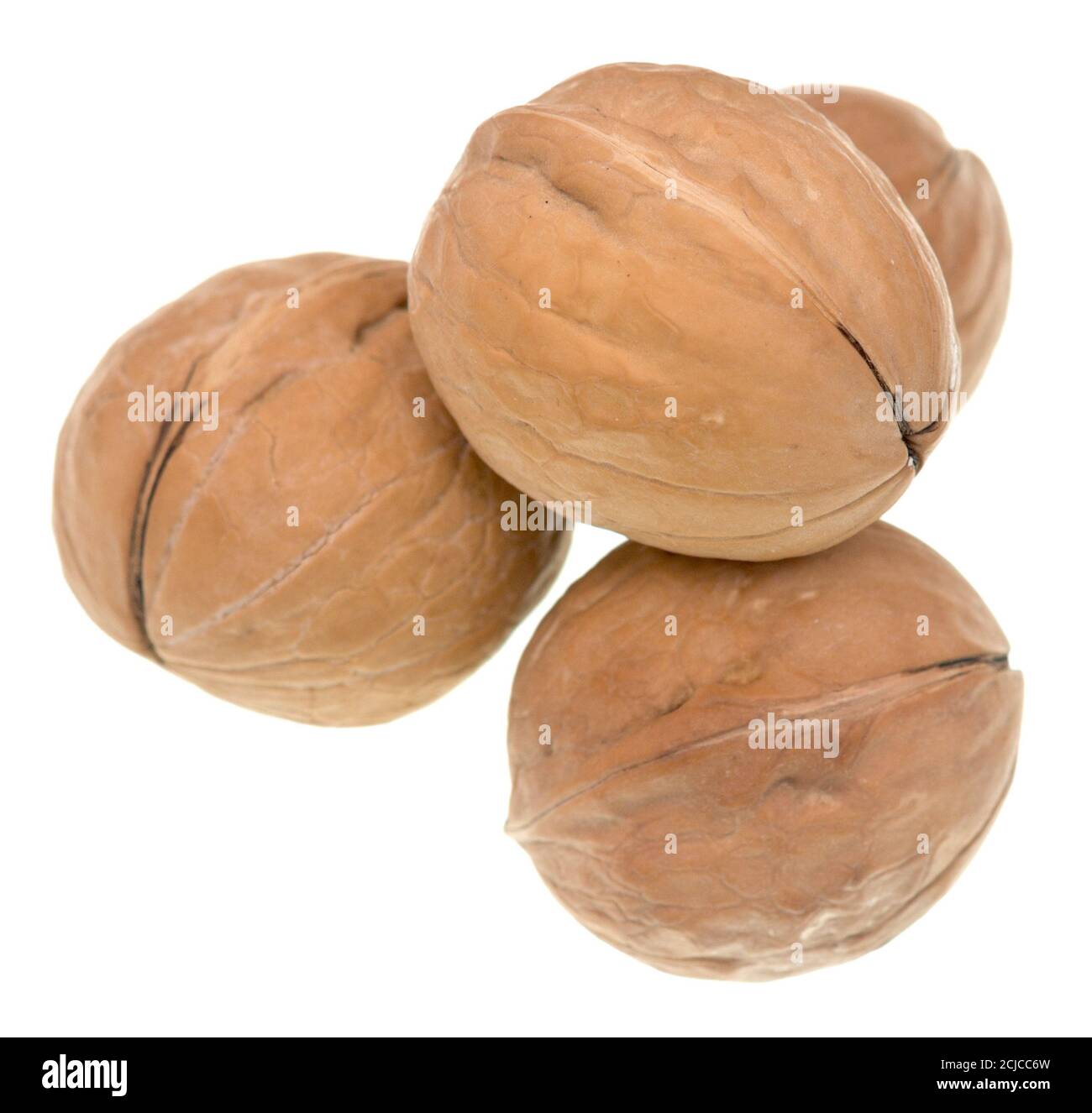 Walnut isolated on white background Stock Photo