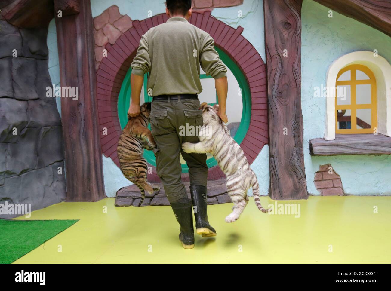 Nursery animal hires stock photography and images Alamy