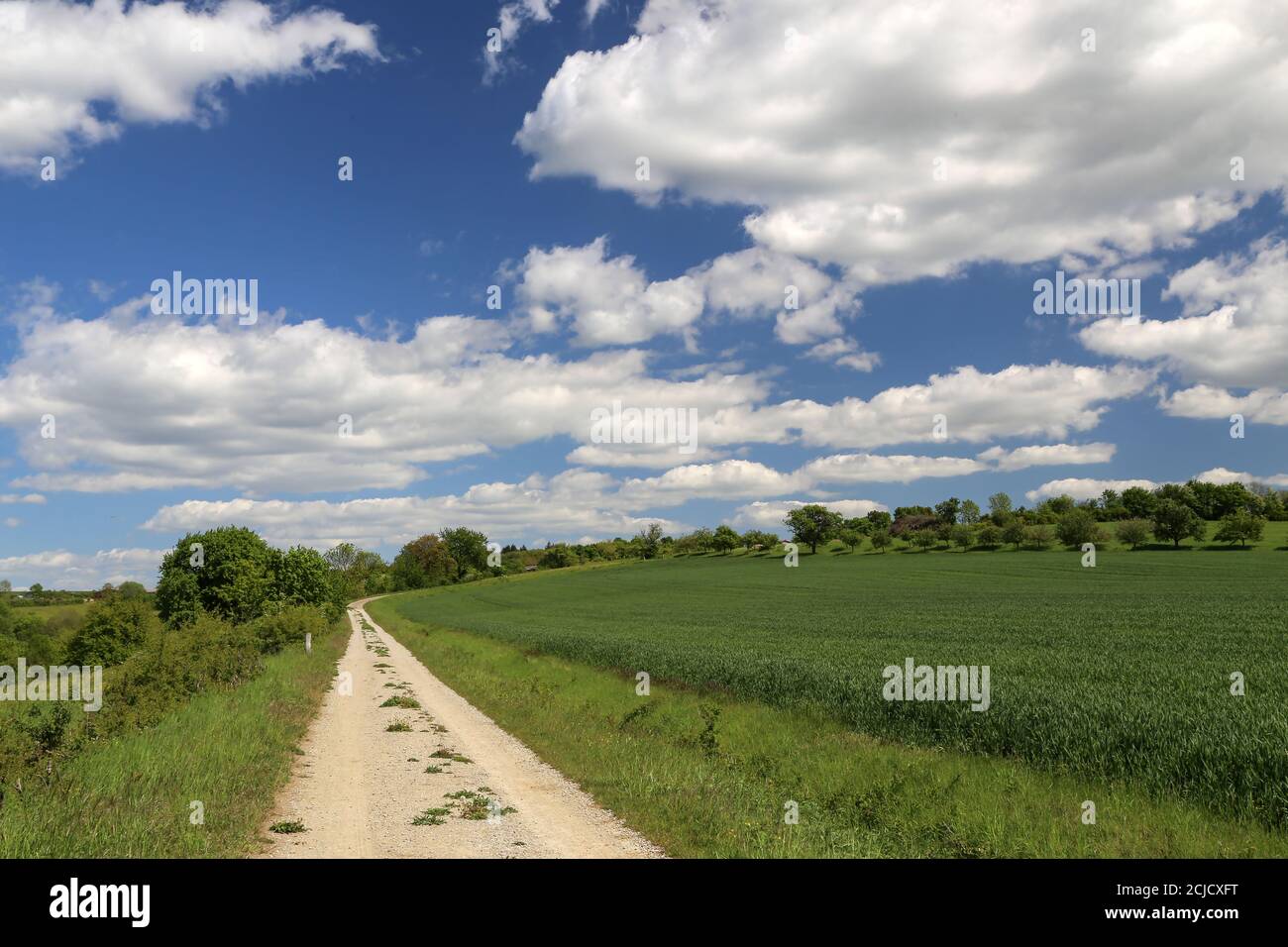 Field Path Ground Closeup shot of a path in a field Stock Photo - Alamy