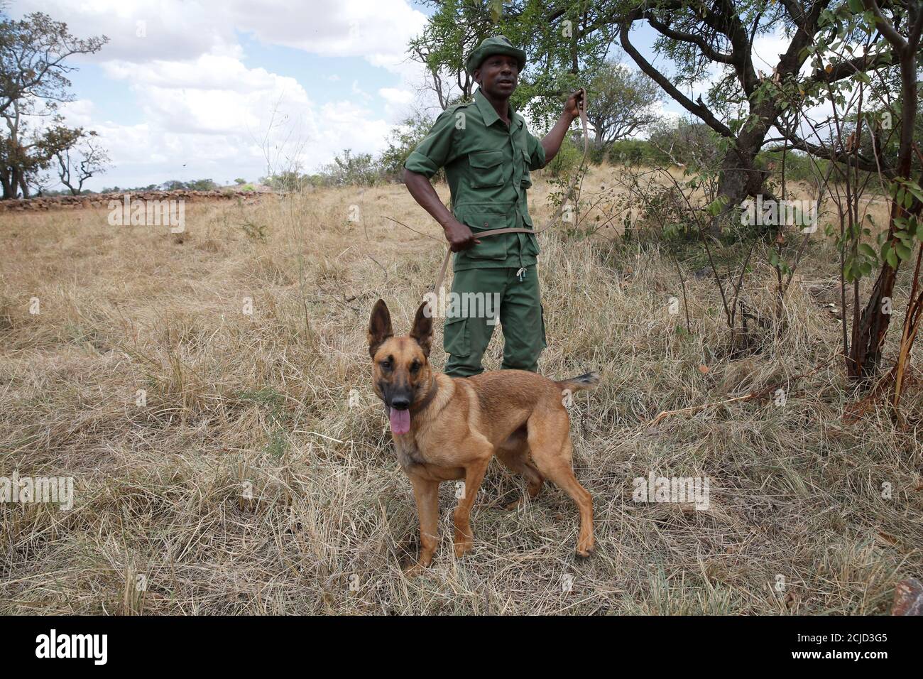 A canine unit ranger is seen with his dog during a training exercise at the Singita Grumeti Game Reserve, Tanzania, October 7, 2018. Picture taken October 7, 2018. REUTERS/Baz Ratner Stock Photo