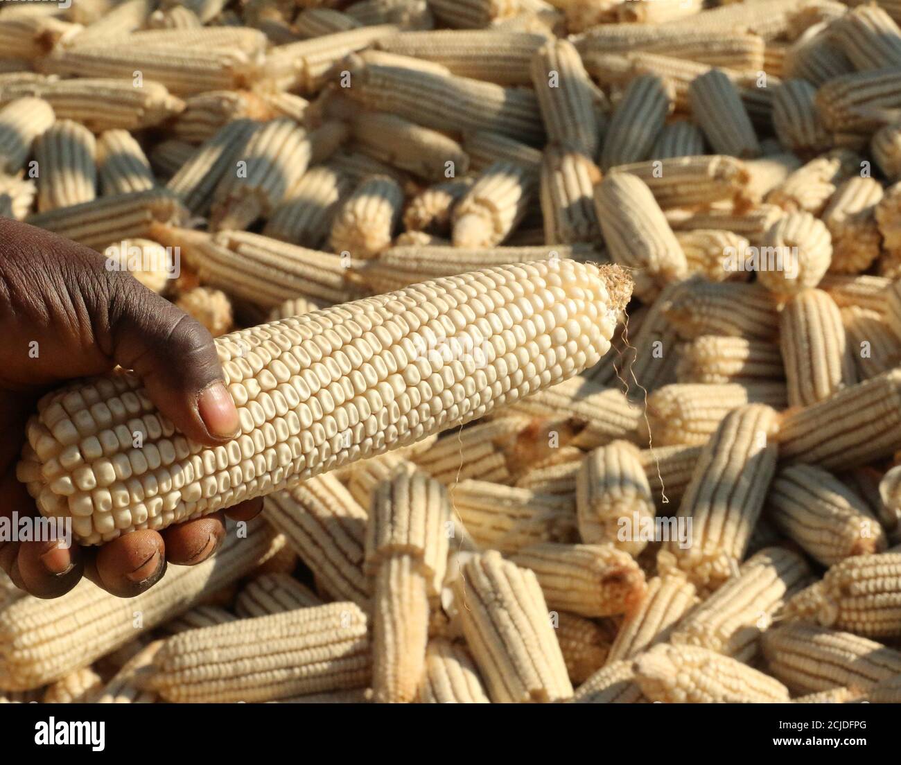 Bulawayo farm hires stock photography and images Alamy