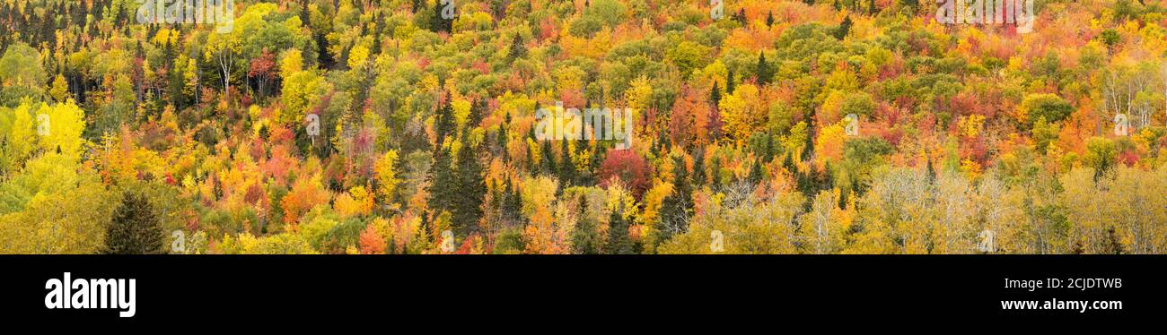 Autumn colours, Rivière-au-Renard, Gaspésie, Quebec, Canada Stock Photo