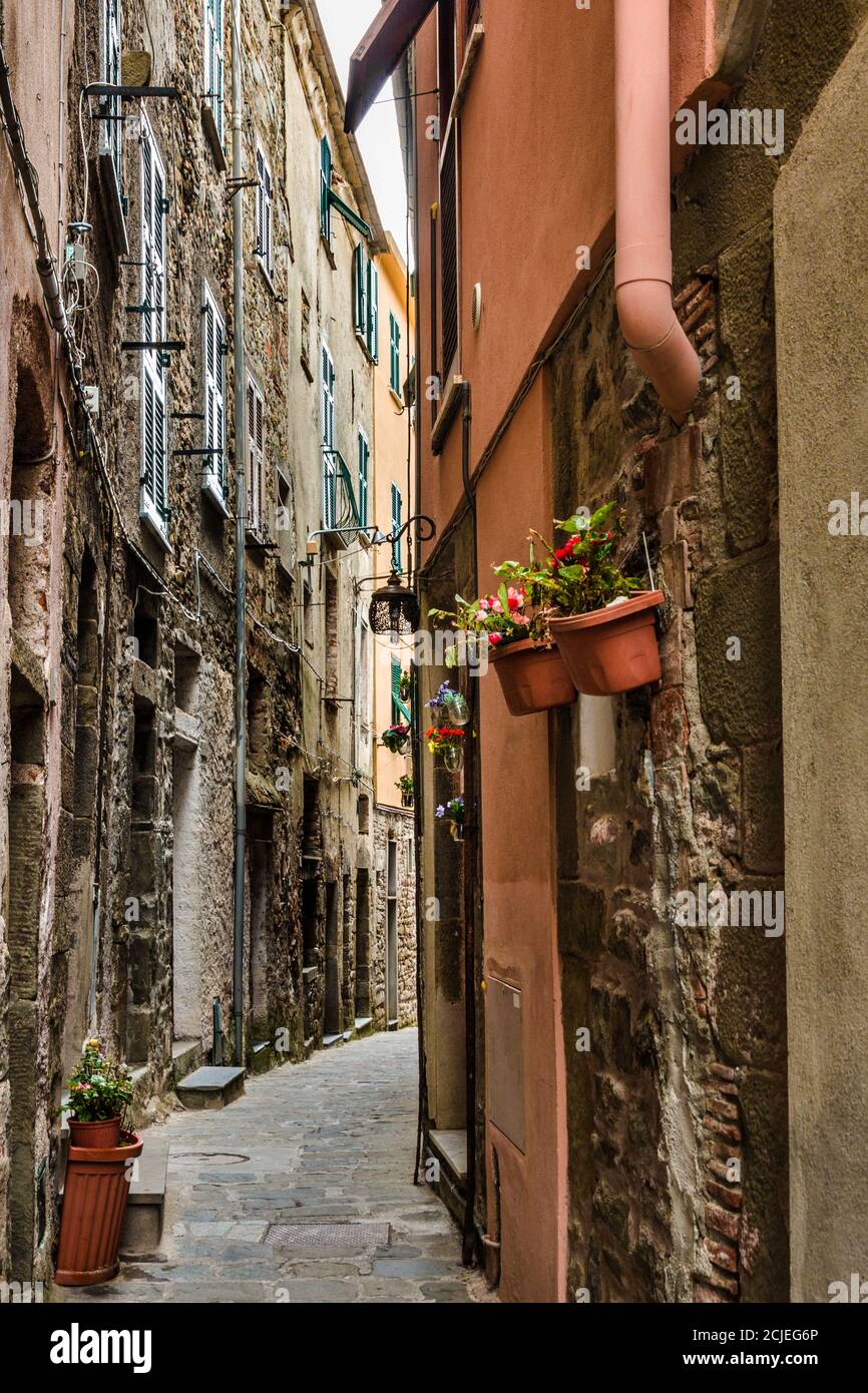 Gorgeous view of a narrow road and houses with ancient facades on each side in the historic village Corniglia at the coastal area of Cinque Terre,... Stock Photo