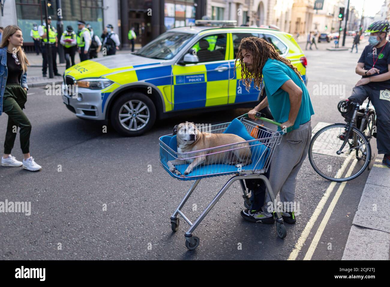 A dog in a trolley, 'Rebels for Amazonia' Extinction Rebellion march on Indigenous Womens Day, London, 5 September 2020 Stock Photo