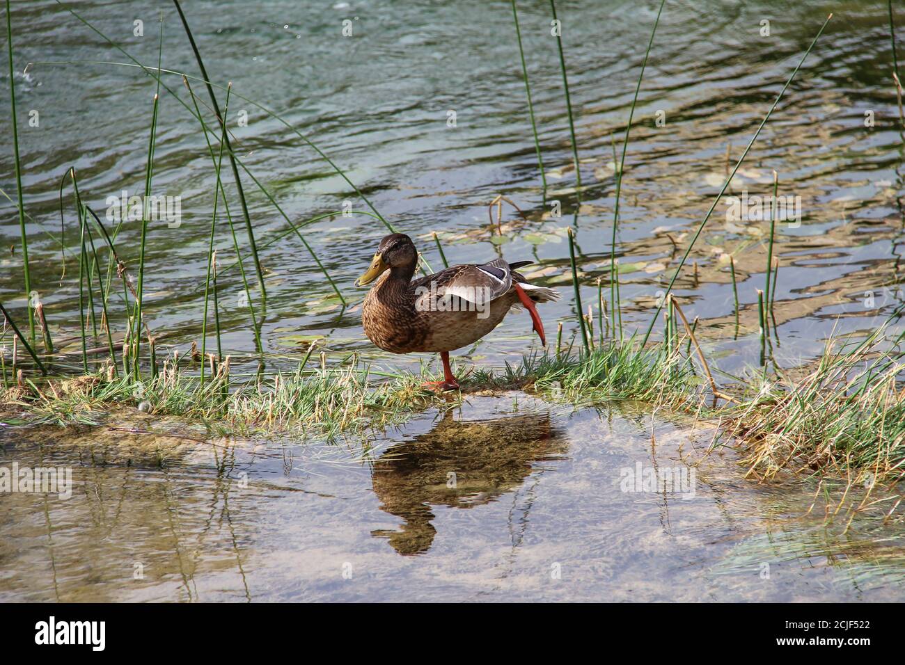 Getting out of boat hi-res stock photography and images - Alamy