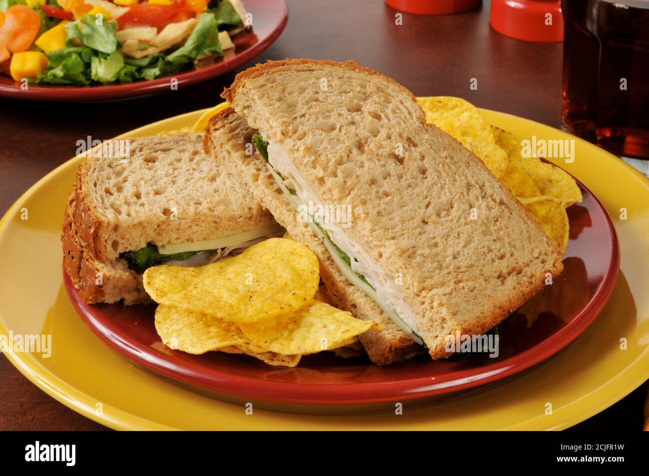 A turkey and swiss cheese sandwich on whole wheat bread with a tropical