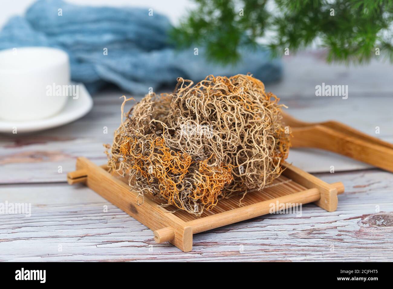 Red Snow Tea Stock Photo Alamy red-snow-tea-stock-photo-alamy