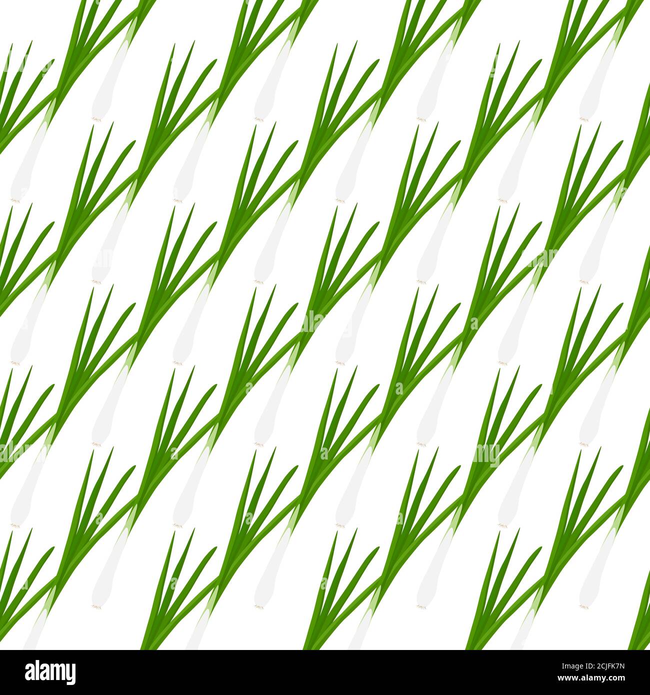 Illustration on theme of bright pattern green onion, vegetable root for seal. Vegetable pattern consisting of beautiful green onion, many root. Simple Stock Vector