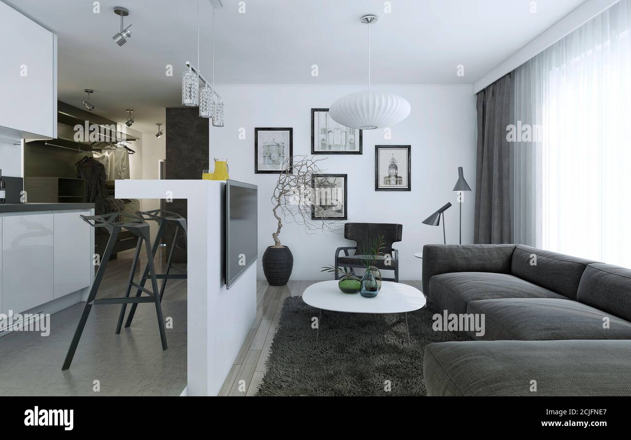 Contemporary interior of a living room studio with a kitchen in modern