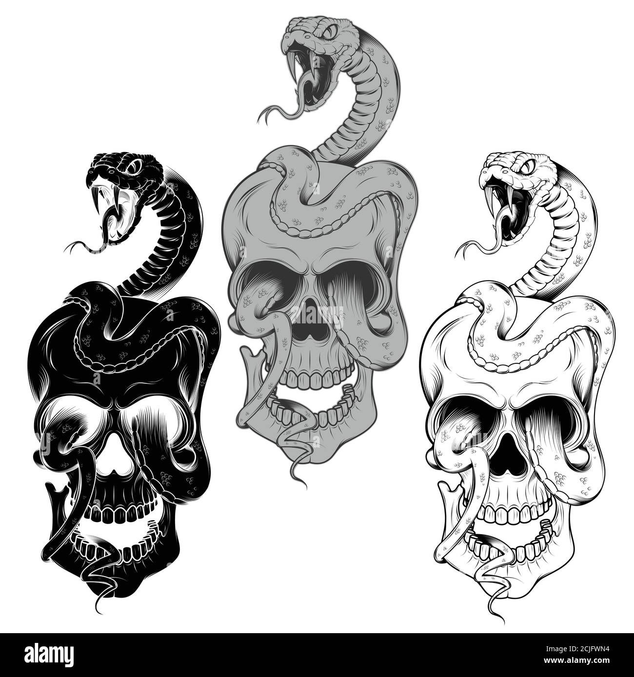 Illustration of skull with snake, traditional art. grayscale Stock Vector