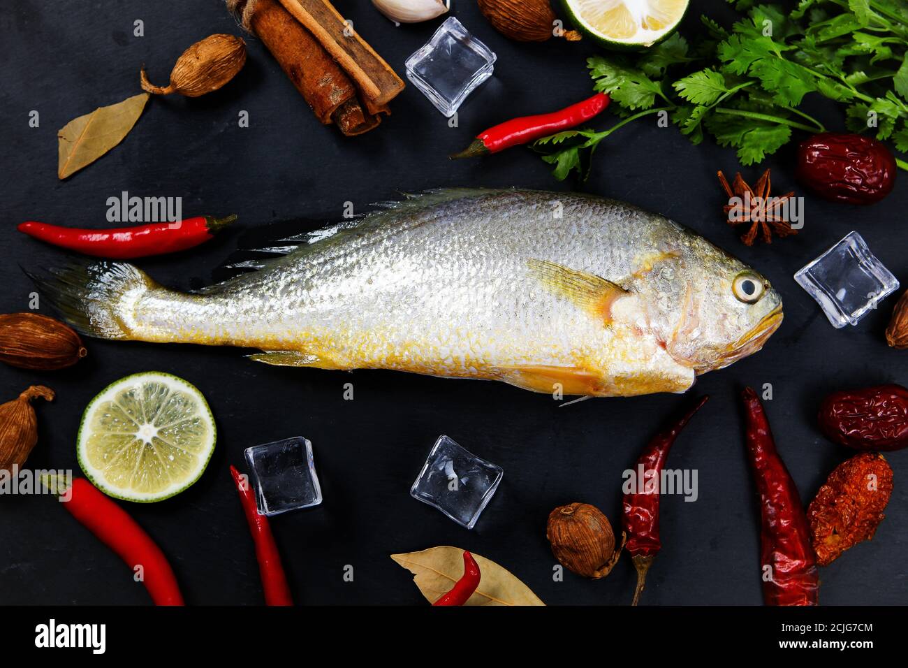 A yellow croaker Stock Photo