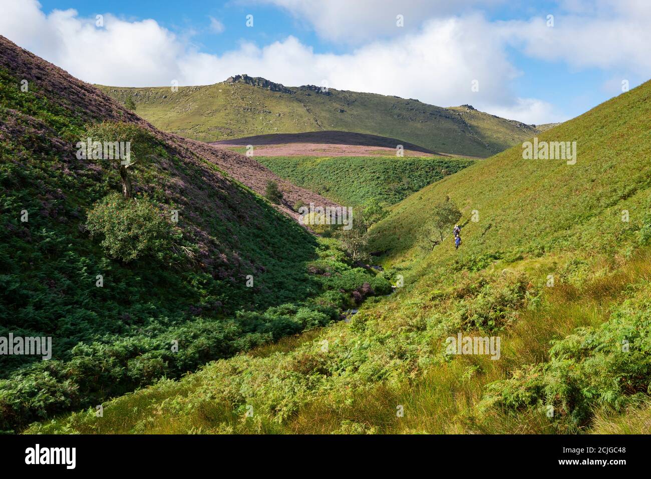 Walkers on the path along Fairbrook leading up to the northern edge of Kinder Scout, Peak District, Derbyshire, England. Stock Photo