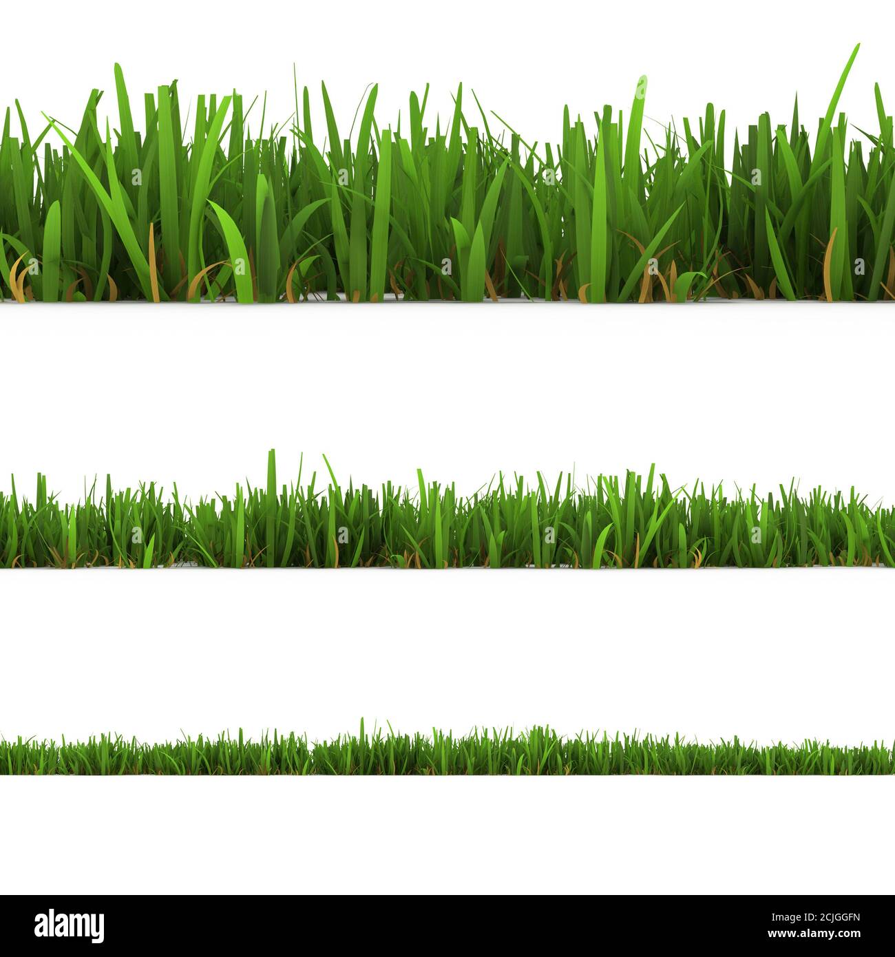 grass isolated on the white background Stock Photo - Alamy