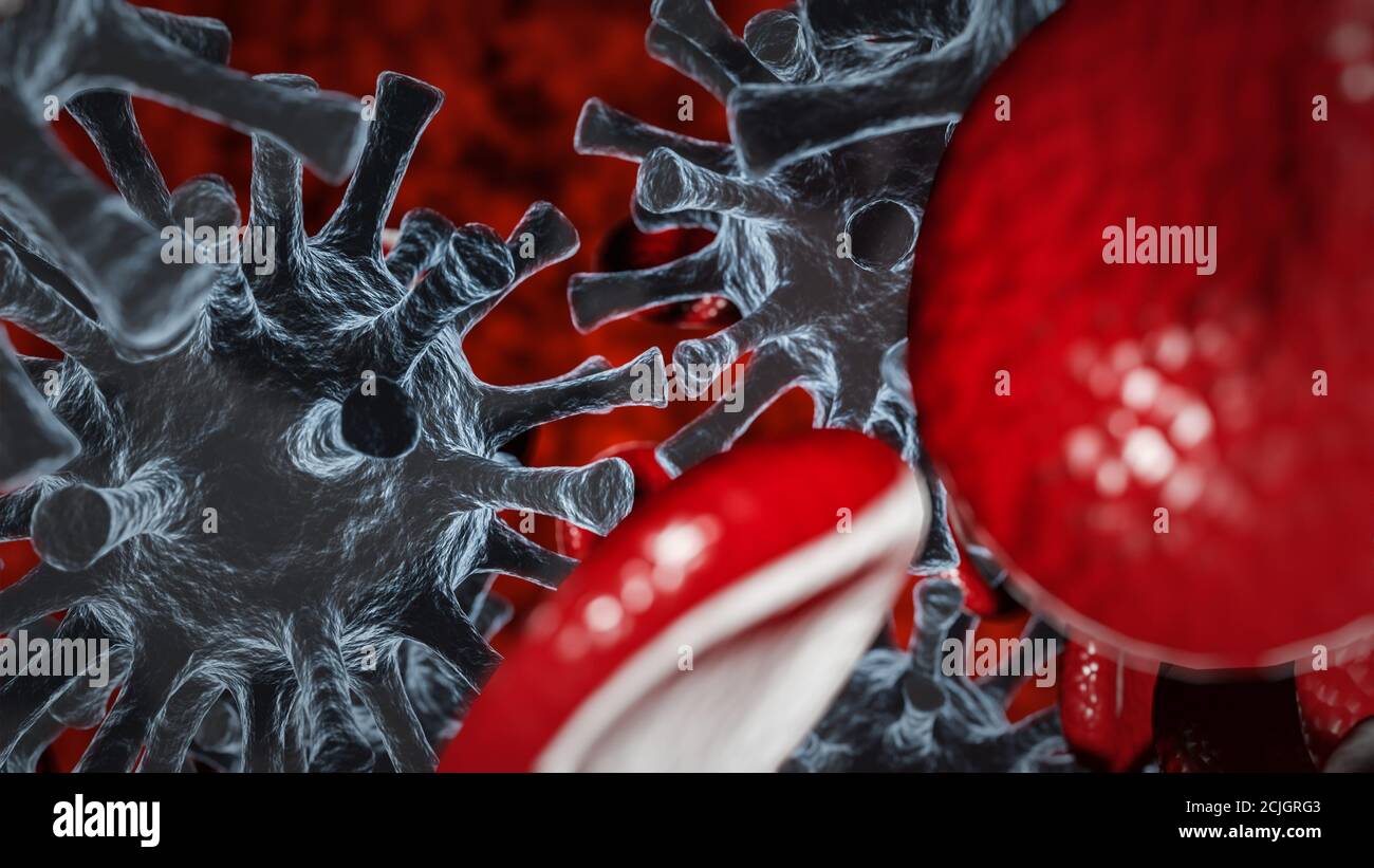 3d illustration of a macro view of grey viruses and blood cells Stock ...