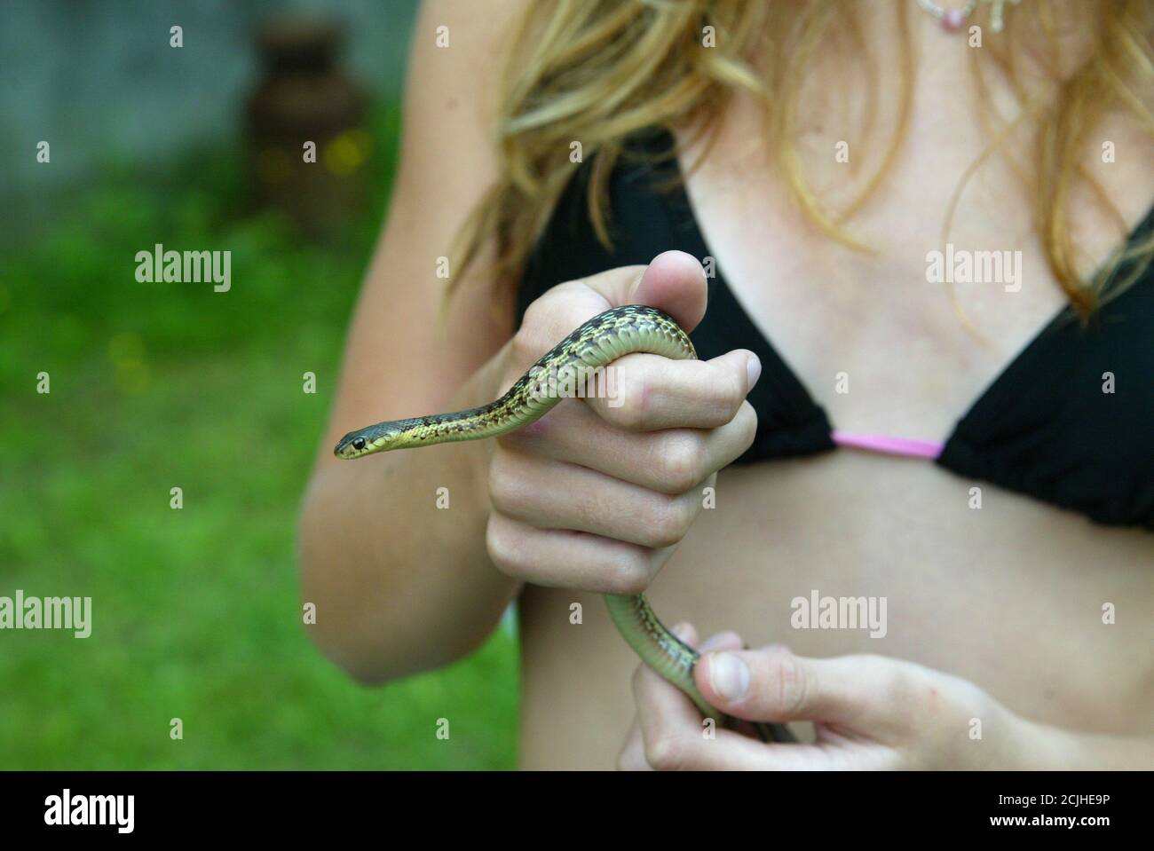 Girl holding a garter snake in her hands Stock Photo