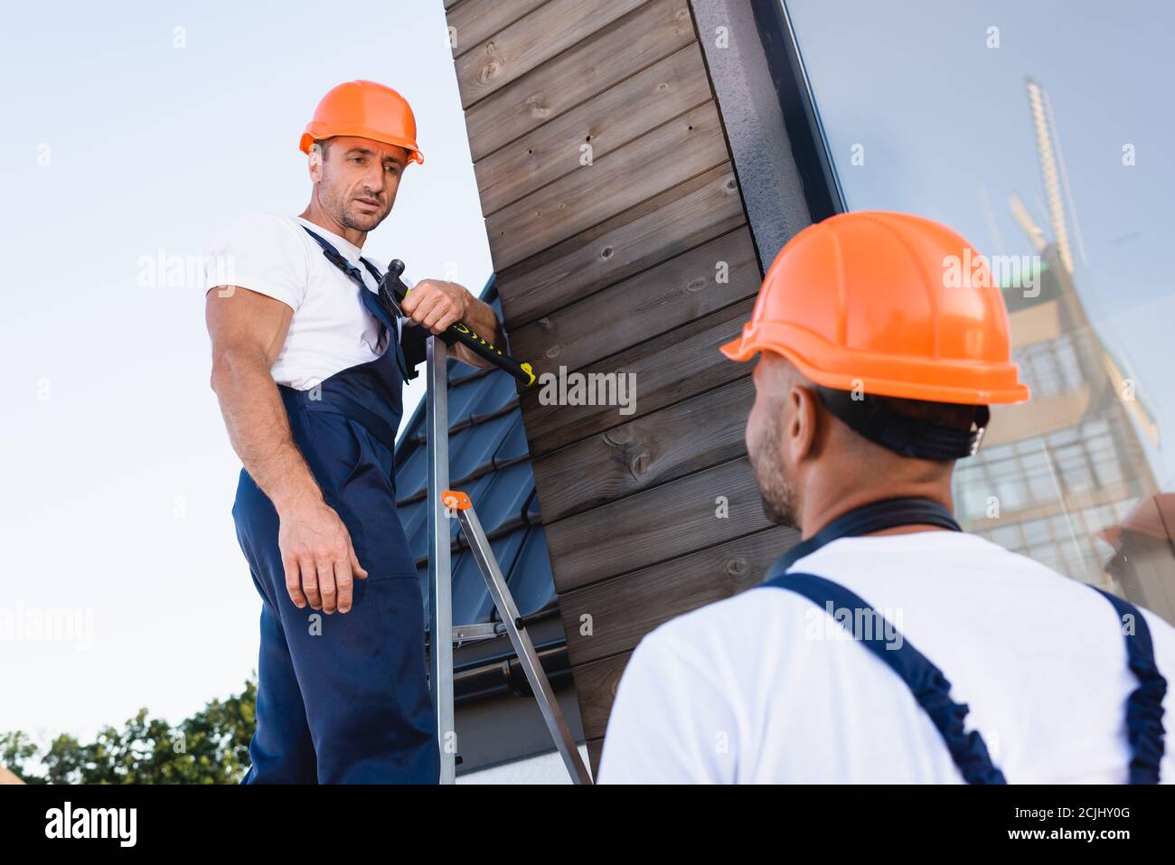 Selective focus of builder holding hammer while standing on ladder near  colleague and facade of building Stock Photo - Alamy