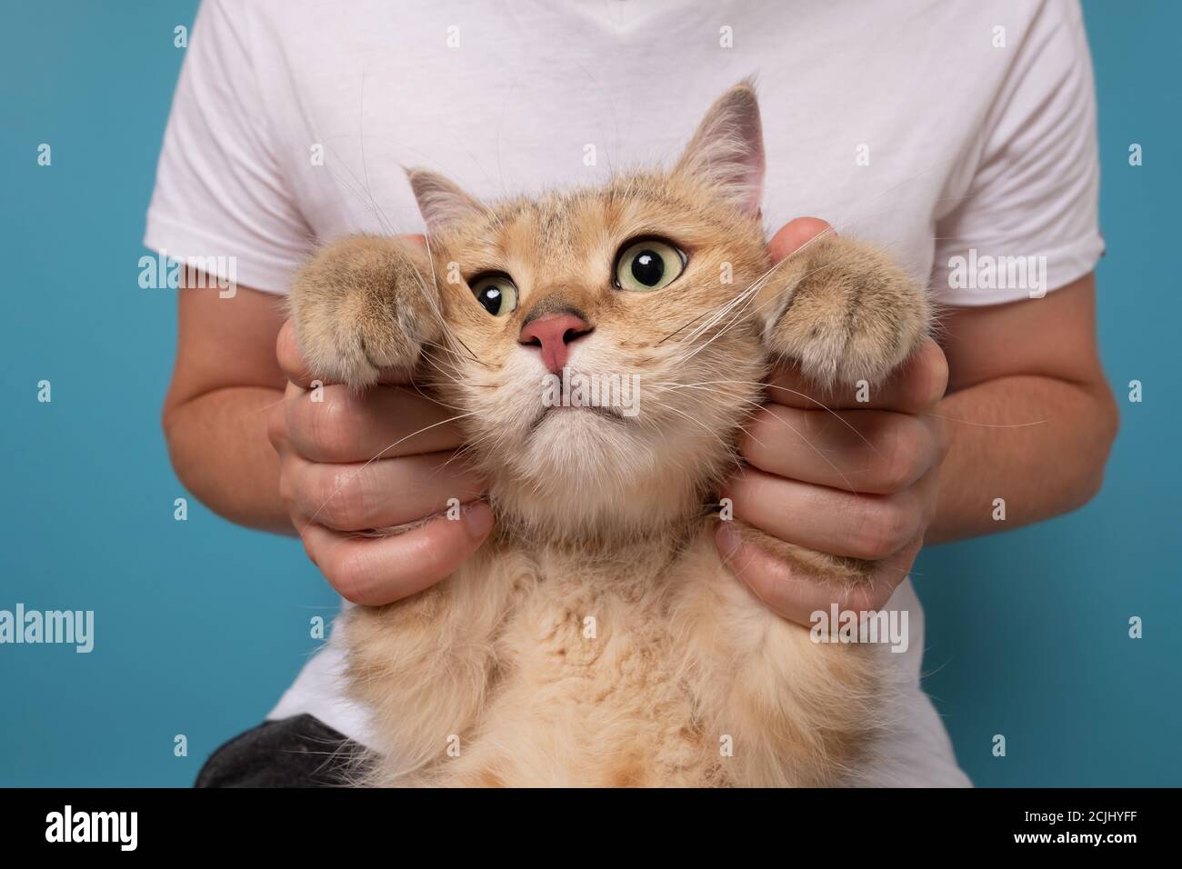Scared animals vet hi-res stock photography and images - Alamy Scared animals vet hi-res stock photography and images - Alamy