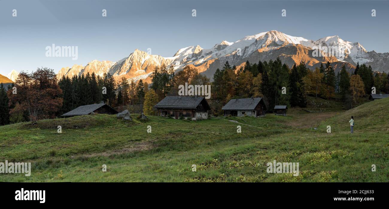 Mont blanc range spring flower hi-res stock photography and images - Alamy