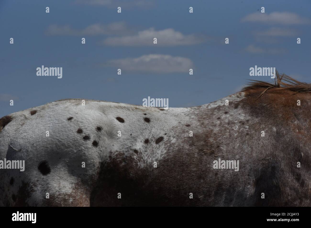 Fort laramie treaty hires stock photography and images Alamy