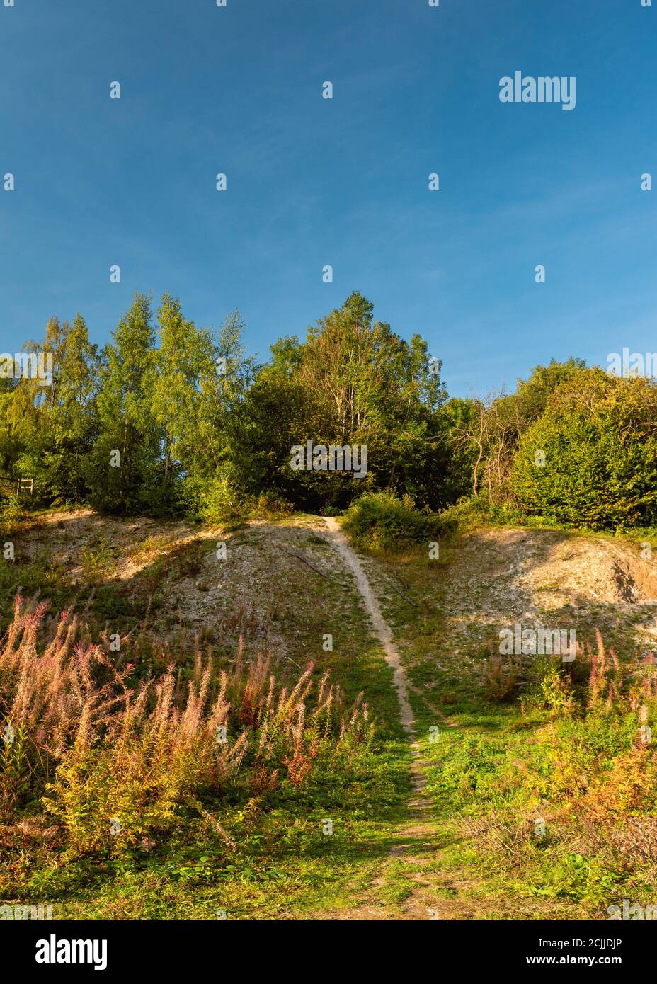 Walking path on the Bacombe Hill, Wendover, UK Stock Photo