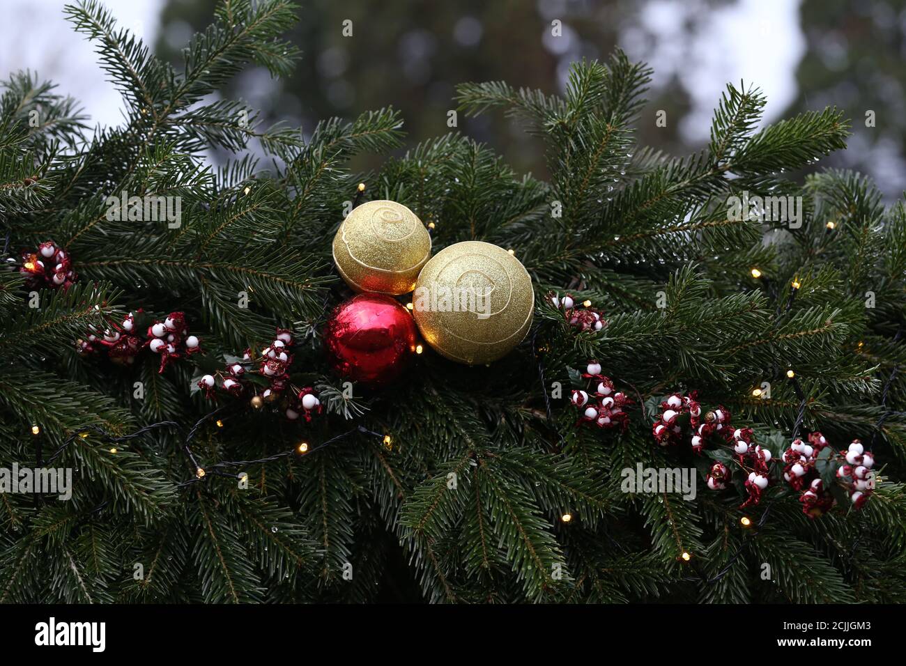 Closeup of a Christmas tree decorated with ornaments outdoors with a ...