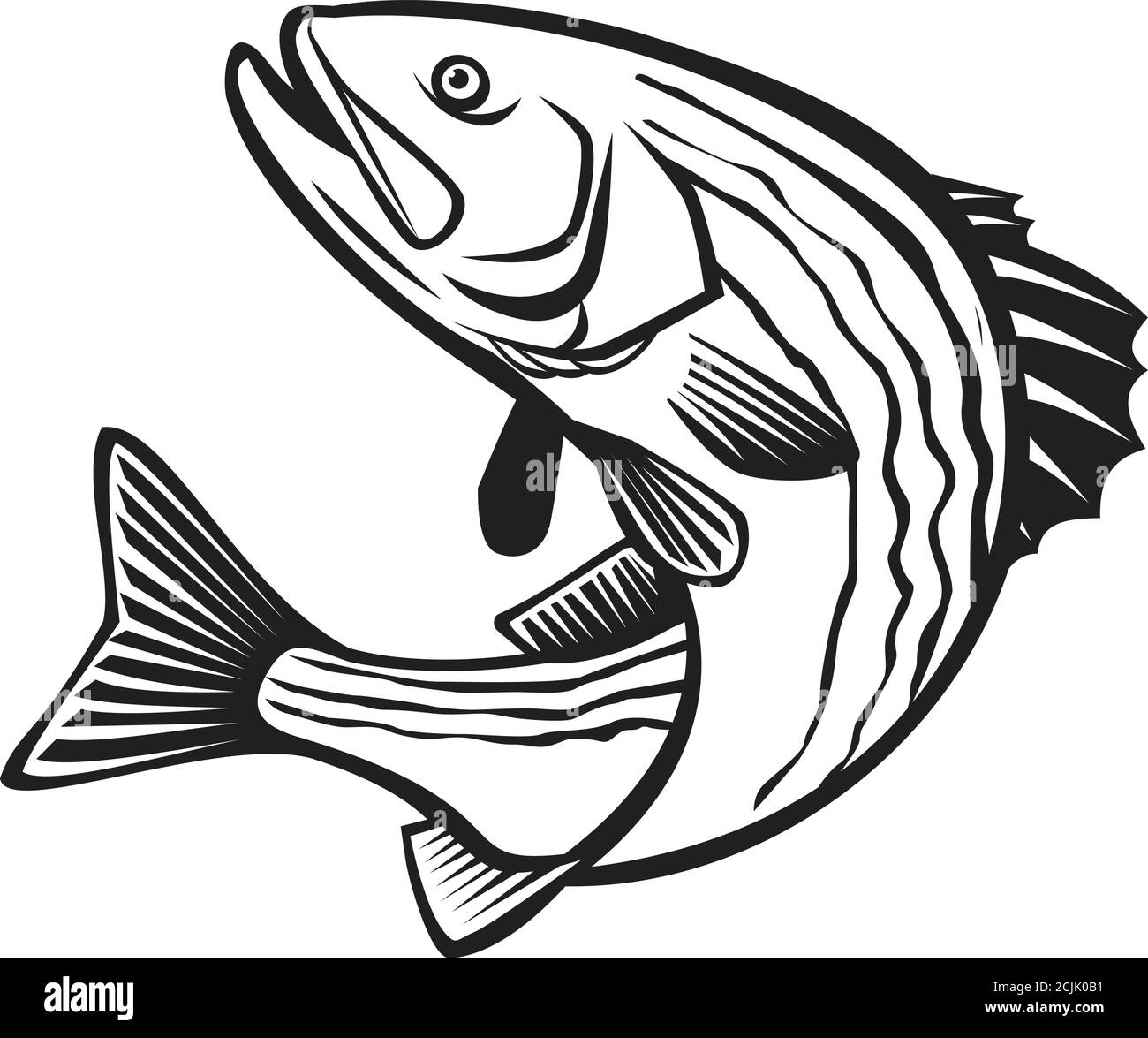 Striper fish outline Stock Vector Images - Alamy